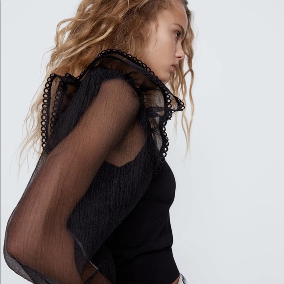 Zara Women’s Knit Sweater Organza Sleeves - Picture 3 of 7